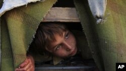 An Afghan refugee boy, Gul Zaman, who fled from Afghanistan with his family, peeps from his make-shift tent in the outskirts of Karachi, Pakistan, March 13, 2012. 