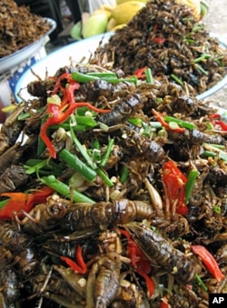 Insects are eaten widely in Cambodia. The UN hopes to fight child malnutrition in Laos with nutrient-packed bugs.
