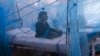 خیبر پختونخواہ: ڈینگی کے مریضوں میں اضافہ