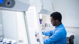 In this undated photo from the University of Oxford, a researcher works on the coronavirus vaccine developed by AstraZeneca and Oxford University. (University of Oxford/John Cairns)
