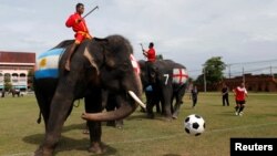 Các chú voi tham gia trận đấu với trẻ em hôm 12/6.