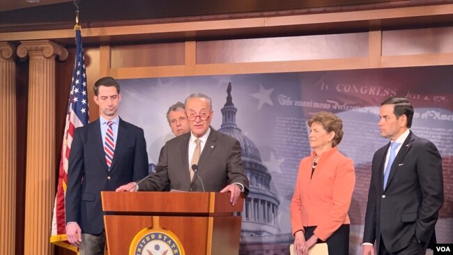 参议院少数党领袖舒默（Sen. Chuck Schumer, D-NY）2019年4月4日召开记者会，推出《芬太尼制裁法》。（美国之音记者李逸华摄）