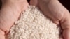 VN chiếm hơn 20% tổng số lúa gạo mua bán trên thị trường quốc tế