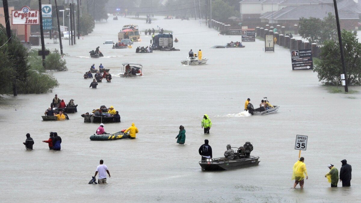 cajun navy zello