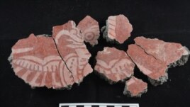 Mural fragments depicting a bird, recently discovered in the Tlajinga neighborhood of the ancient city of Teotihuacan. (Courtesy of David Carballo/Proyecto Arqueologico Tlajnga (PATT)/Handout via REUTERS)