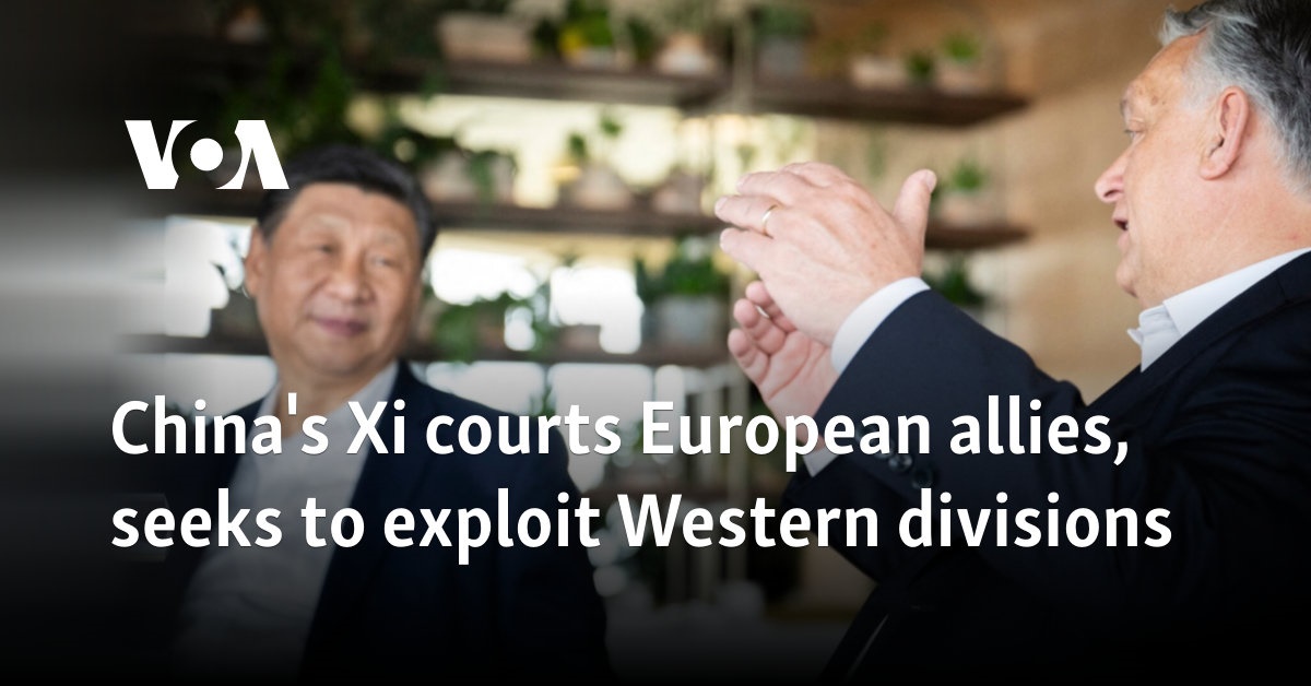 China's Xi courts European allies, seeks to exploit Western divisions, analysts say