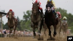 Cloud Computing, second from left, ridden by Javier Castellano, wins the 142nd Preakness Stakes horse race ahead of Classic Empire, ridden by Julien Leparoux, at Pimlico Race Course in Baltimore, May 20, 2017.