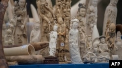 FILE - Carved ivory is shown to the media before being destroyed in Beijing on May 29, 2015. 