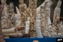 FILE - Carved ivory is shown to the media before being destroyed in Beijing on May 29, 2015.