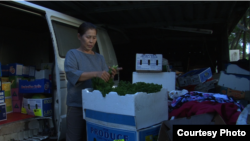 A scene of Kavich Neang's documentary film 'Lim Vy' when Ms. Vy works at home preparing vegetables the day before she sells it at Sunday Market in Brisbane, Australia. (Courtesy photo/Kavich Neang)