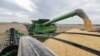 Trump Approves 2nd Round of Trade Aid Payments for US Farmers
