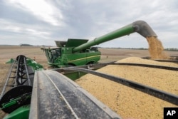 FILE - Mike Starkey offloads soybeans from his combine as he harvests his crops in Brownsburg, Ind., Sept. 21, 2018. Last year, the U.S. applied 25 percent tariffs on $50 billion worth of Chinese goods and 10 percent tariffs on $200 billion of goods. That 10 percent was increased to 25 percent on May 10, 2019. President Donald Trump laying the groundwork to extend the 25 percent tariff to all of China's exports to the U.S. Of course, America's trading partners haven't let Trump's tariffs stand without taking similar action themselves.