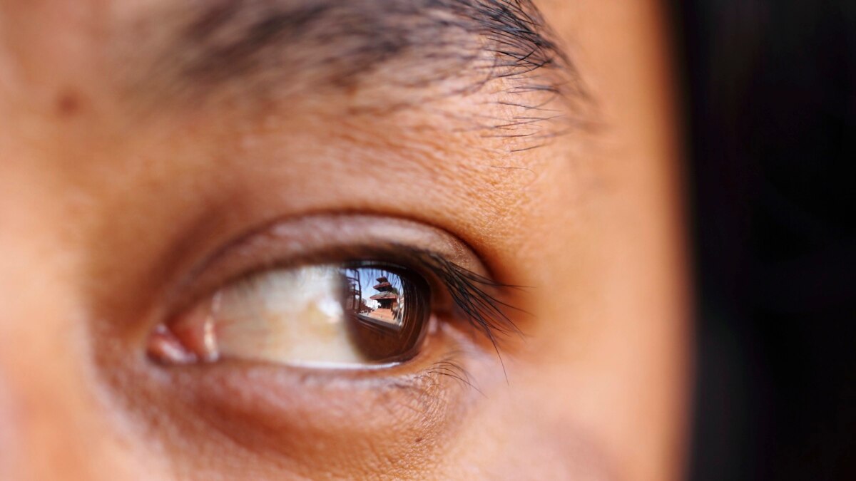 Study Our Eyes Show Others What We Try to Hide