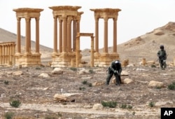 Russian serviceman check for mines in the Palmyra ancient ruins, Syria, in this photo provided by Russian Defense Ministry press service, April 8, 2016.