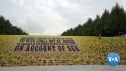 Sunflower Display at NYC Park Commemorates Women's Suffrage 