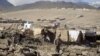 Bom tự sát giết chết 2 người ở Afghanistan 