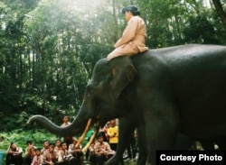 Wisata gajah di Sumatera Utara, upaya mendidik masyarakat tentang pelestarian hutan. (Foto: Humas KLHK)