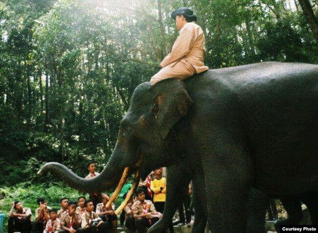 Wisata gajah di Sumatera Utara, upaya mendidik masyarakat tentang pelestarian hutan. (Foto: Humas KLHK)