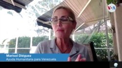 Marisol Diéguez, Ayuda Humanitaria para Venezuela