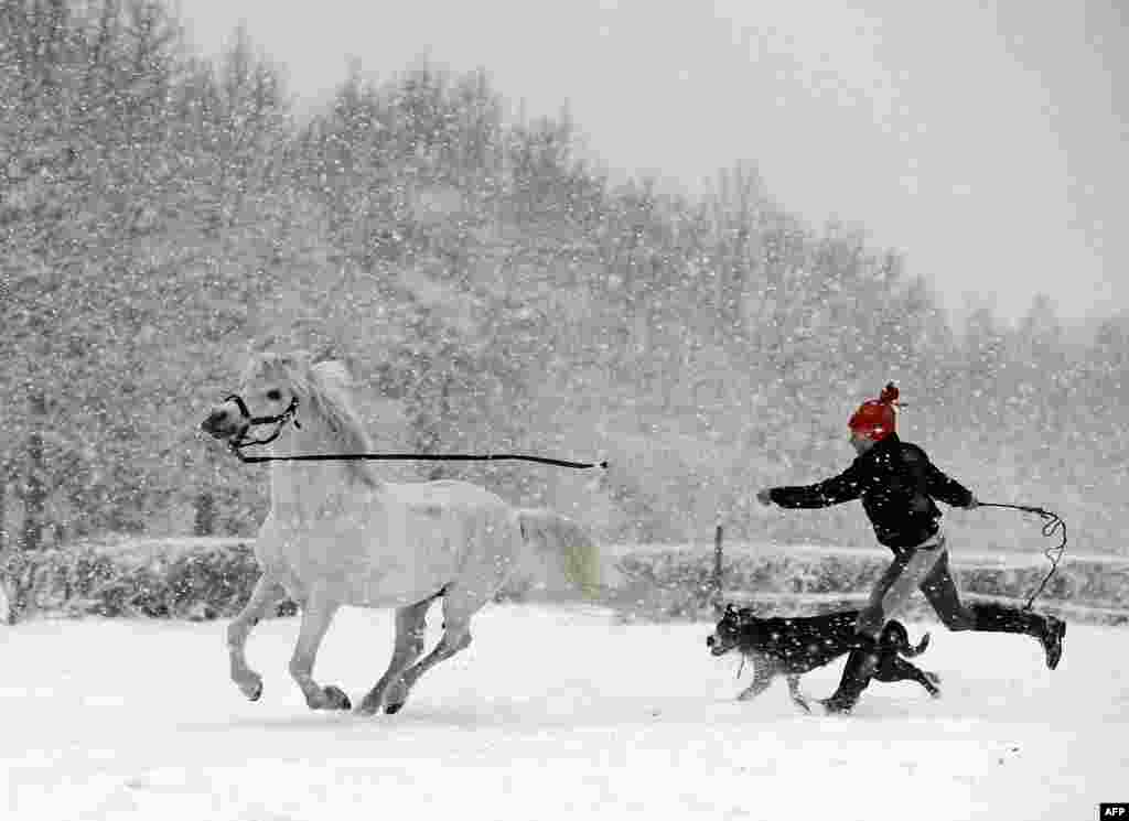 2013年2月7日，在波兰华沙附近，一名女孩和她的爱犬与一匹矮种马在雪中嬉戏奔跑。