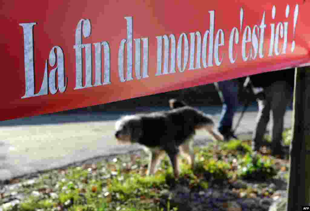 Seekor anjing di depan papan informasi sebuah restoran yang bertuliskan &quot;Akhir dunia ada di sini&quot; di desa Bugarach (20/12). (AFP/Eric Cabanis)
