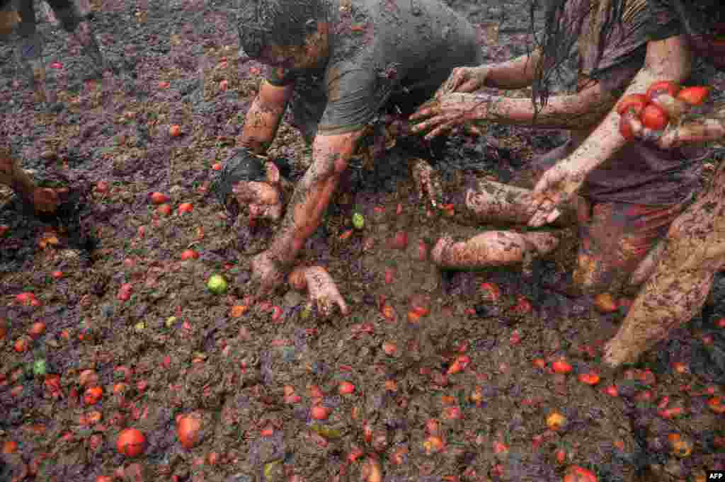 Những người tham gia lễ hội cuộc chiến cà chua hàng năm lần thứ chín, được gọi là &quot;Tomatina,&quot; ở Sutamarchan, tỉnh Boyaca, Colombia, ngày 7 tháng 6, 2015.