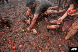 TOPSHOTS People participate in the ninth annual tomato fight festival, known as "tomatina", in Sutamarchan, Boyaca department, Colombia, on June 7, 2015. AFP PHOTO/Guillermo LEGARIA