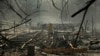 A firefighter searches for human remains in a trailer park destroyed in the Camp Fire, Friday, Nov. 16, 2018, in Paradise, California.