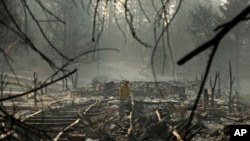 A firefighter searches for human remains in a trailer park destroyed in the Camp Fire, Friday, Nov. 16, 2018, in Paradise, California.