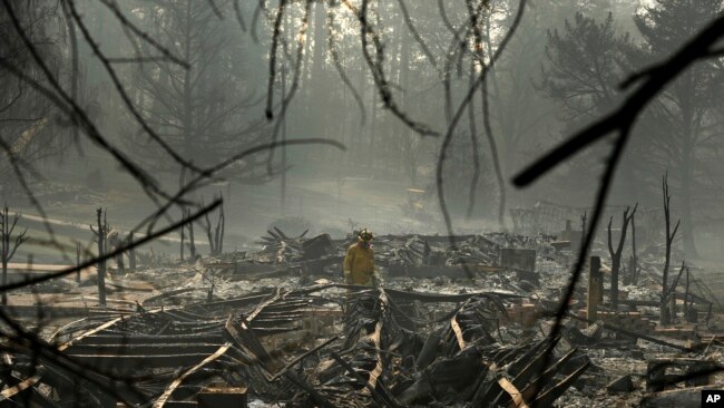 A firefighter searches for human remains in a trailer park destroyed in the Camp Fire, Friday, Nov. 16, 2018, in Paradise, California.