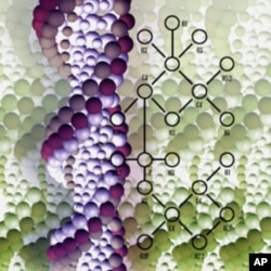 Close-up of DNA strand & molecular structure