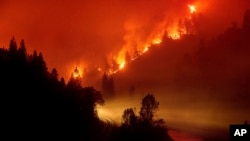 Požar Delta u Nacionalnoj šumi Shasta-Trinity, Kalifornija, 6. septembra 2018.
