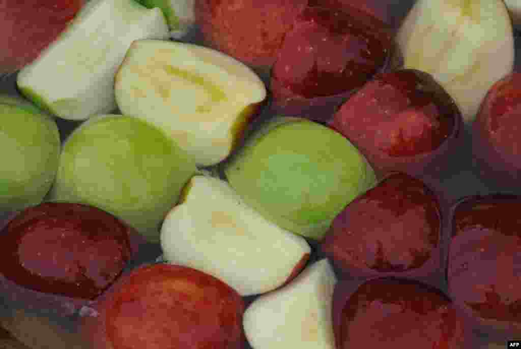 День благодарения. Где будет жить-поживать индейка по имени Яблоко