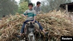 Tojikiston dunyoning eng qashshoq mamlakatlaridan biri. Xorijdagi mehnat muhojirlaridan keladigan daromad mamlakat yalpi milliy mahsulotining salmoqli qismini tashkil etadi.