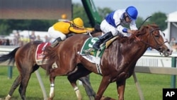 Shackleford, right, with Jesus Castanon aboard, works down the stretch in front of Astrology, with Mike Smith aboard, during the 136th Preakness Stakes horse race at Pimlico Race Course in Baltimore, May 21, 2011