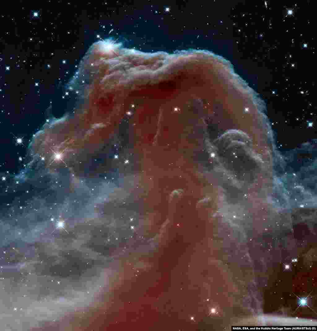 Что вам напоминают очертания этой туманности? Астрономам, впервые обнаружившим эти гигантские облака пыли и газа, они напомнили конскую голову. Впоследствии это прозвище прижилось в качестве одного из названий этой туманности, официально именуемой Barnard 33.