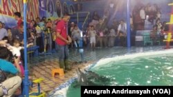 Sirkus lumba-lumba di Medan yang banyak menuai protes dari kalangan aktivis satwa dan lingkungan, Jumat (21/6) (foto: VOA/Anugrah Andriansyah)
