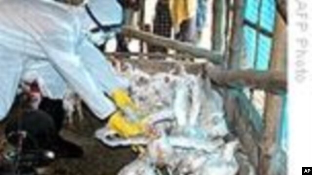 Harrisvaccines usa código genético para crear la vacuna, lo cual elimina la necesidad de manejar el virus vivo.