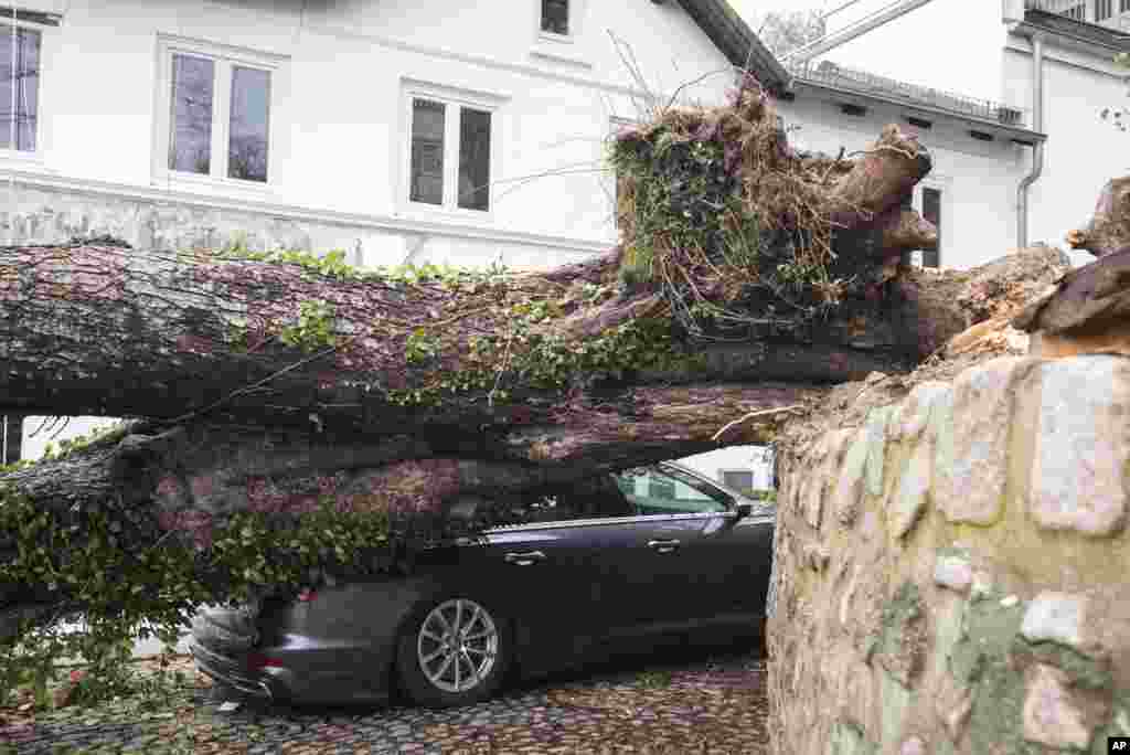 افتادن تنه درخت بر روی یک اتومبیل در توفان امروز در هامبورگ آلمان
