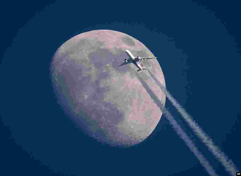عکاس، گذر یک هواپیما از مقابل ماه در آسمان فرانکفورت را شکار کرده است.&nbsp;