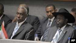 Southern Sudan leader Salva Kiir [R-front] and Sudan's 2nd Vice President Ali Osman Taha [L-front] attend the 14th Extra Ordinary Summit of the Inter-Governmental Authority Heads of State and Government at the Kenyatta International Conference Center in 