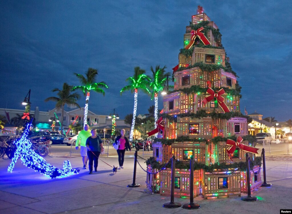 미국 플로리다 키웨스트의 히스토릭 시포트에서 크리스마스트리 모양을 한 바닷가재 상자들이 쌓여있다.