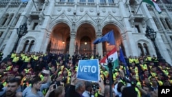 Protest u Budimpešti zbog najave gašenja CEU