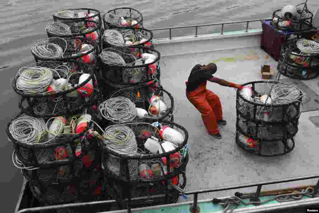 Một ngư dân chất giỏ cua lên tàu cá tại tại San Francisco, bang California, Mỹ. Ngư dân đánh bắt ngoài khơi sẽ đối mặt với luật mới của bang giới hạn số lượng giỏ cua mà mỗi thuyền được phép chở, ngày 14 tháng 11, 2013.
