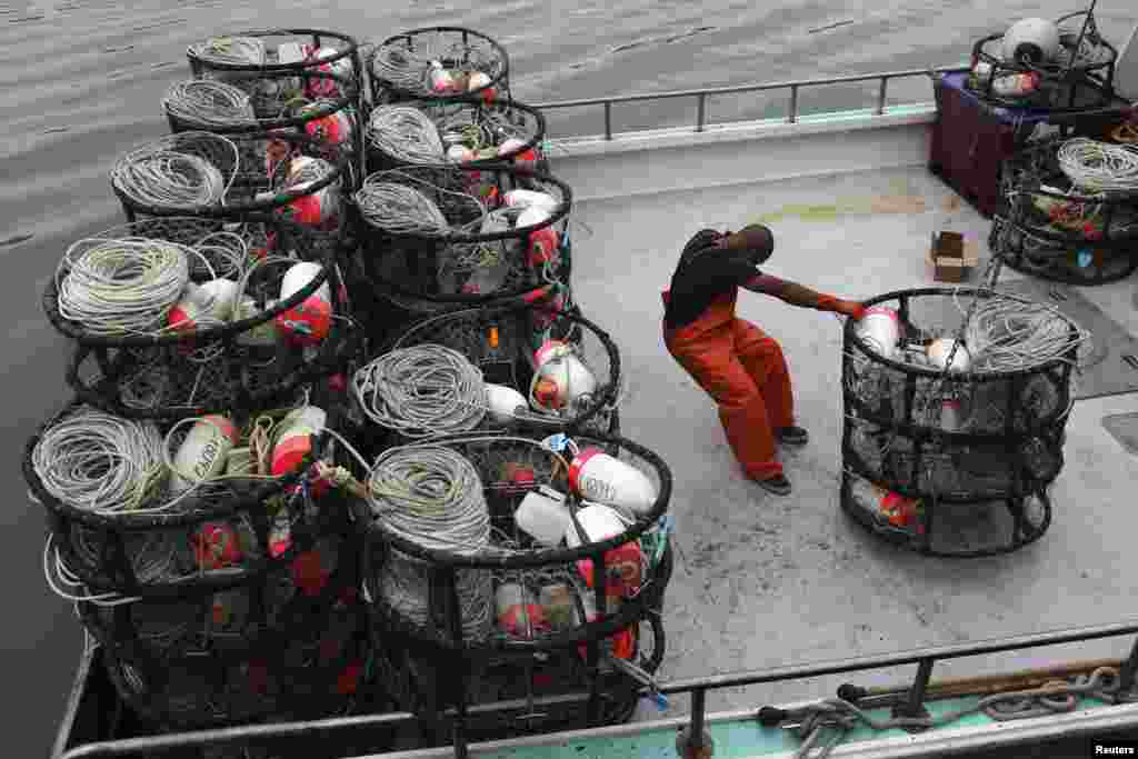 A fishermen loads crab pots onto a fishing vessel at Fishermen's Wharf ahead of Friday's opening of the commercial Dungeness crab season, in San Francisco, California, Fishermen heading out to sea will face a new state law, which limits the number of crab pots each boat is permitted to carry, Nov. 14, 2013.