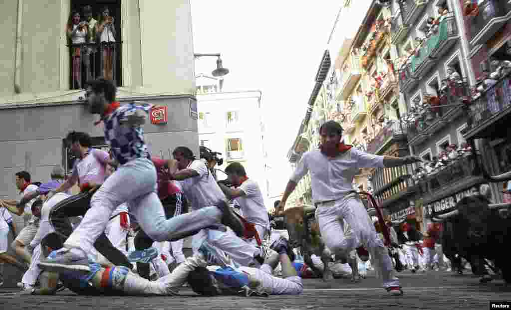 Runners fall as they run from Victoriano del Rio fighting bulls and steers as they were taking the Estafeta curve during the fourth running of the bulls at the San Fermin festival in Pamplona July 10, 2013. Several runners suffered light injuries in a run
