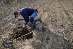 With his metal detector by his side, Jim Bailey looks in the dirt for Colonial-era items in a field, March 11, 2021, in Warwick, R.I. (AP Photo/Steven Senne)