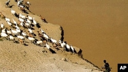 Karo tribesman wears a gun as he guards his goats on the bank of the River Omo, April 2002 (file photo).