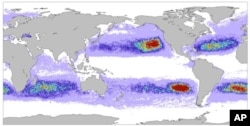 Graphic of floating Tsunami debris