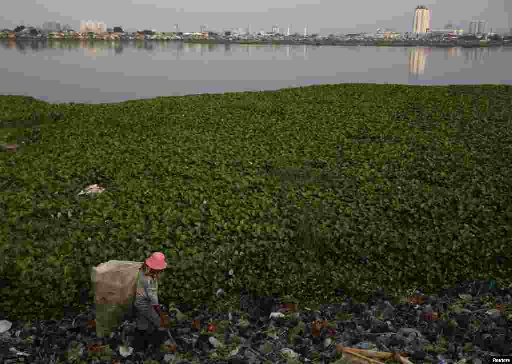 Saidi, a former fisherman, collects plastic cups for recycling at Pluit lake in Jakarta, Indonesia.